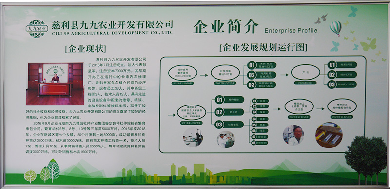 慈利縣九九農(nóng)業(yè)開(kāi)發(fā)有限公司,張家界粘木苗銷(xiāo)售,杜仲種植,苗木銷(xiāo)售