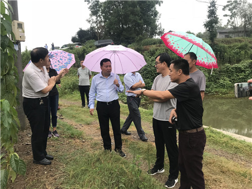 慈利縣九九農(nóng)業(yè)開發(fā)有限公司,張家界粘木苗銷售,杜仲種植,苗木銷售 慈利縣九九農(nóng)業(yè)開發(fā)有限公司,張家界粘木苗銷售,杜仲種植,苗木銷售